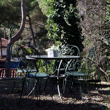 Apartment Vacarisses Torreblanca Estacion, Piscina Privada Eksteriør bilde